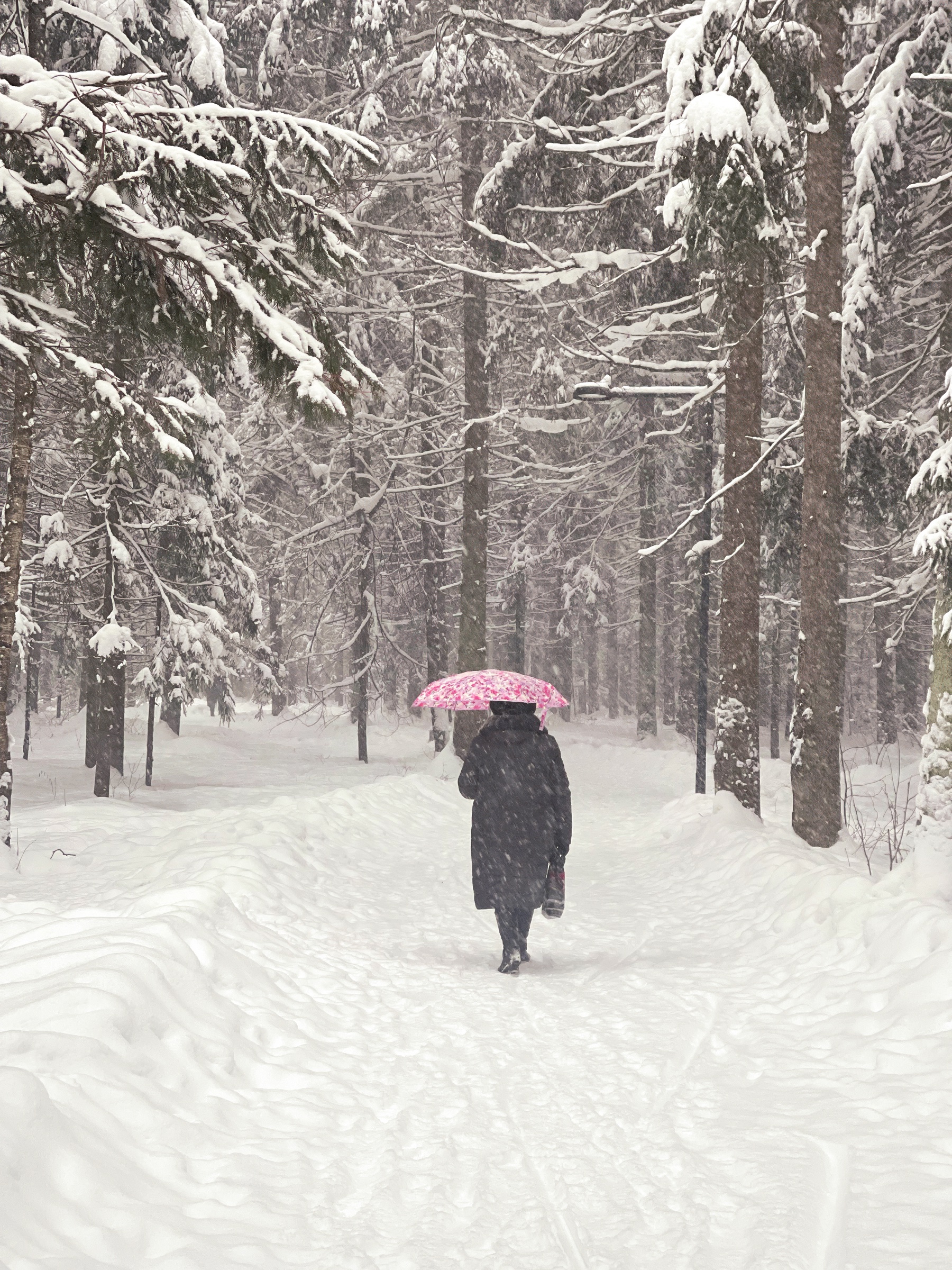 Street and landscape photograph by Elizaveta Moiseenko